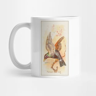 Persian Starling Mug